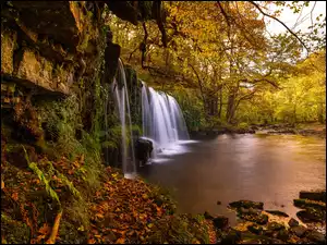Wodospad pośród drzew i krzewów w jesiennym lesie