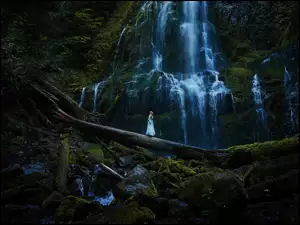 Wodospad, Kobieta, Drzewa, Mech