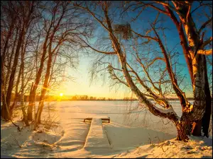 Drzewa, Zima, Promienie Słońca, Jezioro, Pomost