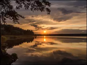 Zachodzące słońce za drzewami nad jeziorem