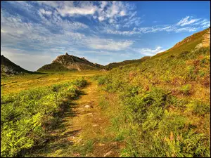 Ścieżka, Wielka Brytania, Góra, Exmoor National Park