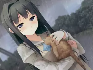 Anime, Dziewczyna, Deszcz, Kot, Manga