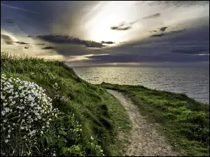 Ścieżka, Morze, Trawa, Brzeg, Kwiaty
