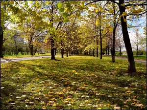 Park, Jesień, Moskwa, Rosja