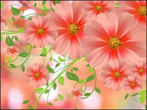 Kwiaty kosmea w grafice 2D