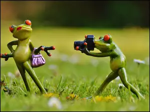 Modelka żaba z torebką pozuje do zdjęcia
