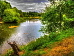 Jezioro, Anglia, Park, Nostell