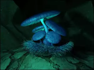 Oświetlone grzyby w grafice 3D