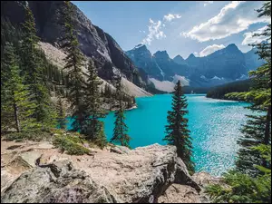 Jezioro Moraine Lake, Kanada, Góry, Park Narodowy Banff, Las
