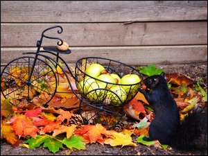 Rowerek z jabłkami na jesiennych liściach i wiewiórka zbierająca orzeszki