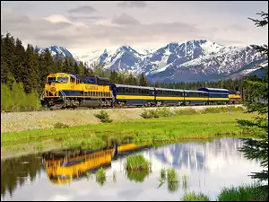 Pociąg, Alaska, Lasy, Góry