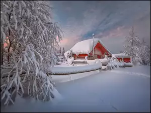 Domy i drzewa w zimowej szacie