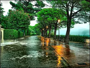 Deszcz, Włochy, Ulica, Toscolano-Moderno, Drzewo