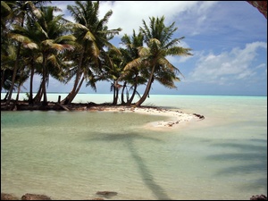 Morze, Kiribati, Laguna, Palmy