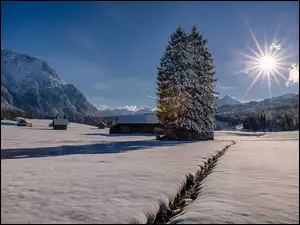 Zimowa panorama z domami drzewami i górami w promieniach słońca