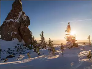 Zimowy krajobraz drzew w pobliżu skał o wschodzie słońca