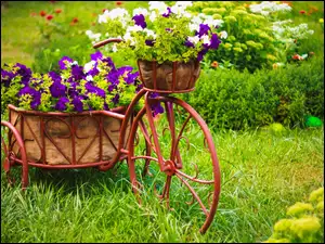 Ogród, Rower, Donice, Kwietnik, Kwiaty