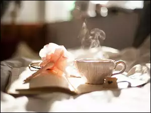 Herbata, Książka