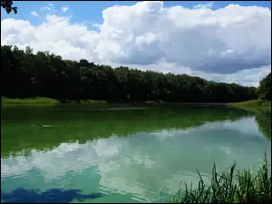 Jezioro, Woda