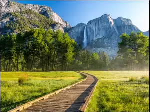 Droga do gór w Parku Yosemite