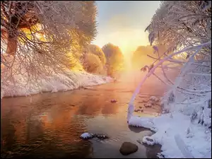 Rzeka wśród drzew w zimowym krajobrazie z mgiełką o wschodzie słońca
