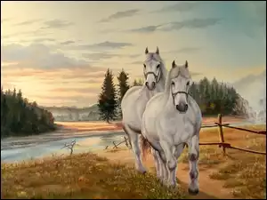 Konie, Pastwisko, Dwa, Drzewa, Białe, Rzeka