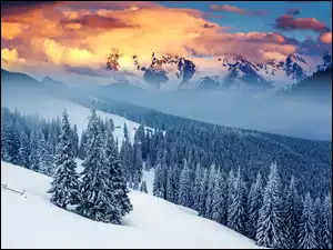 Mgła, Przebijające, Zima, Światło, Góry, Drzewa