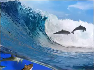 Fala, Morze, Delfiny