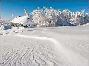 Pole, Budynek, Zima, Niebo, Śnieg, Drzewa