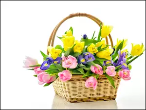 Tulipany, Bukiet Kwiatów, Irysy, Kosz