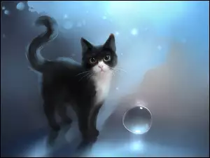 Mały czarno-biały kotek z kroplą wody
