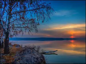 Brzozy w jesiennej szacie nad jeziorem w blasku zachodzącego słońca