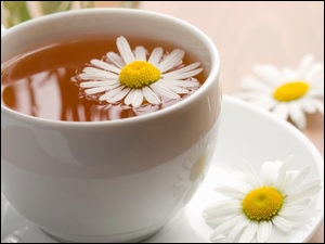 Herbata, Filiżanka, Rumianek, Kwiaty