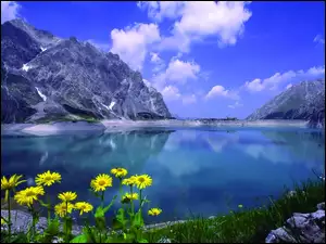 Góry, Kwiatki, Jezioro, Skały