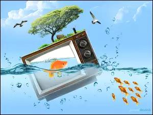 drzewo, niebo, woda, ptaki, złota rybka, telewizor