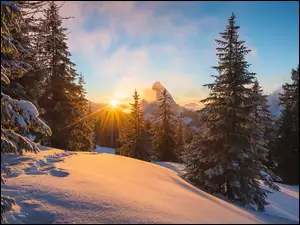 Zachodzące słońce oświetla scenę zimowego krajobrazu