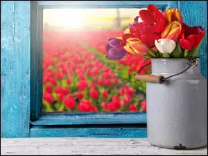 Okno, Tulipany, Kwiaty