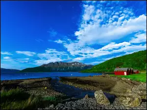 Norwegia, Jezioro, Lasy, Góry, Domy