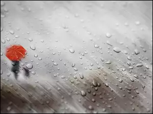 Kobieta pod parasolem z psem w deszczu