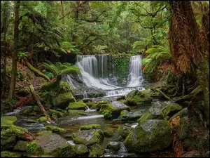 Leśny wodospad wpadający do rzeki z omszałymi kamieniami