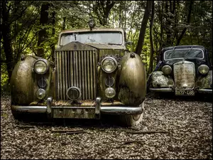 Stare Rolls-Royce na złomowisku pod lasem