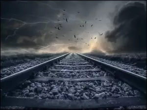 Ptaku fruwające nad torami kolejowymi z widokiem na błyskawice
