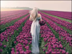 Kobieta na tulipanowym polu