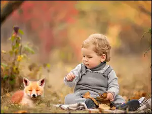 Lisek towarzyszący dziecku podczas zabawy liśćmi