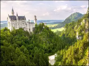 Zamek Neuschwanstein, Lasy, Niemcy, Drzewa, Bawaria, Skały
