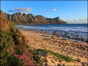 Skaliste góry i kamienista plaża u wybrzeży Afryki Południowej