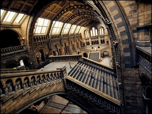 Wnętrze Muzeum Historii Naturalnej w Londynie