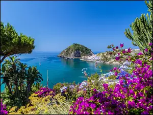 Kwiaty bugenwilli nad włoskim wybrzeżem morza tyrreńskiego