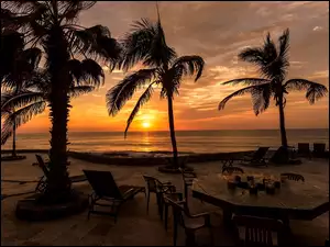 Stolik i krzesła pod palmami o zachodzie słońca