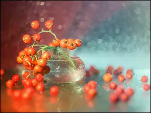 dekoracyjne ułożone owoce jarzębiny w szklanym wazoniku